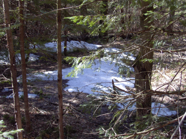 2003-04-27/Image005