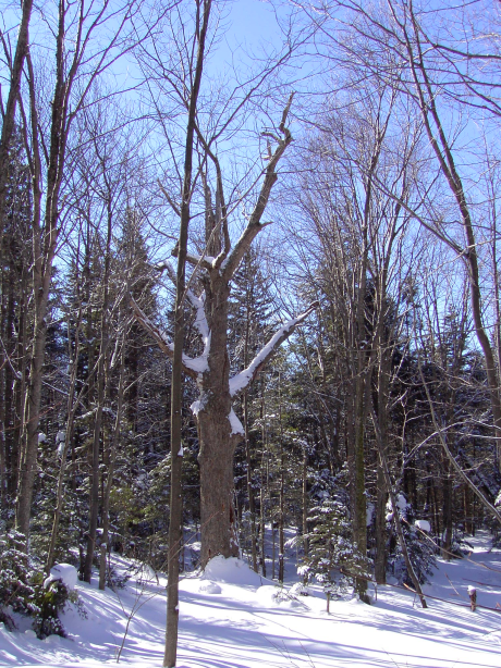 2003-02-08/Image007