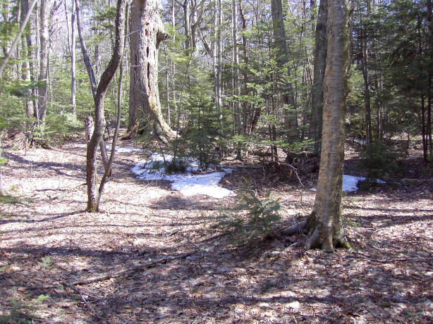 2003-04-27/Image004