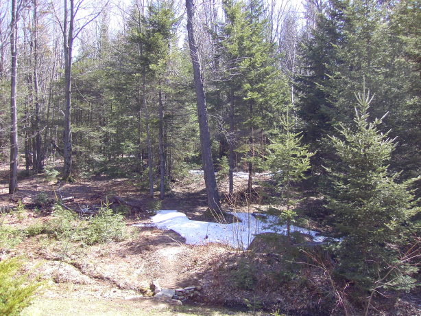 2003-04-27/Image001