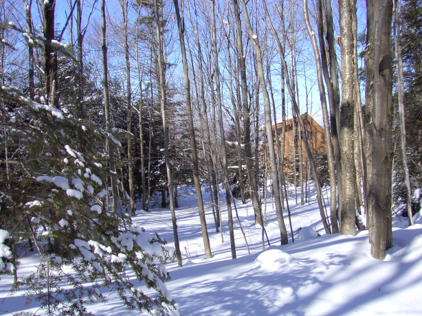 2003-02-08/Image008